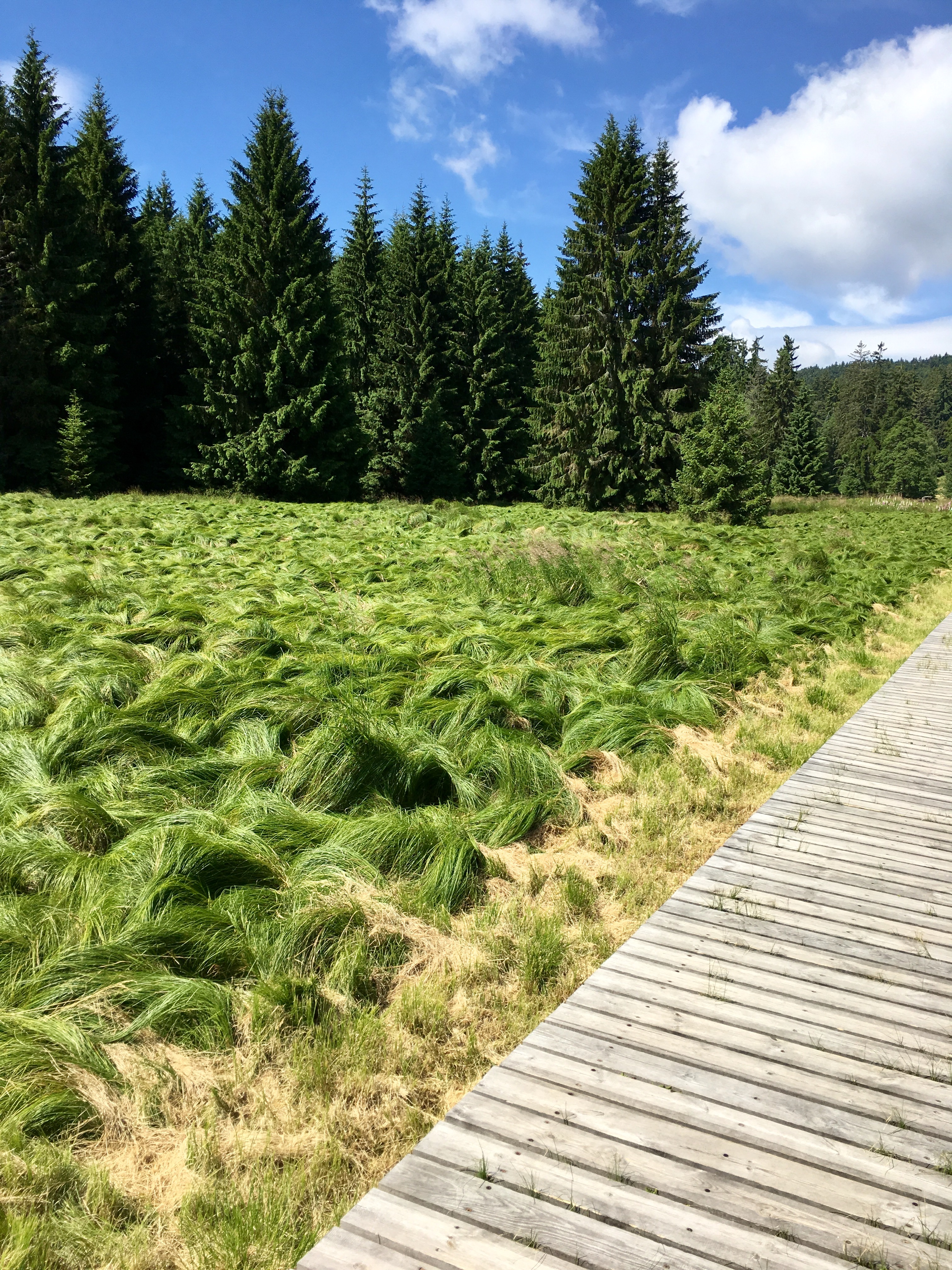 Kladská u Mariánských Lázní