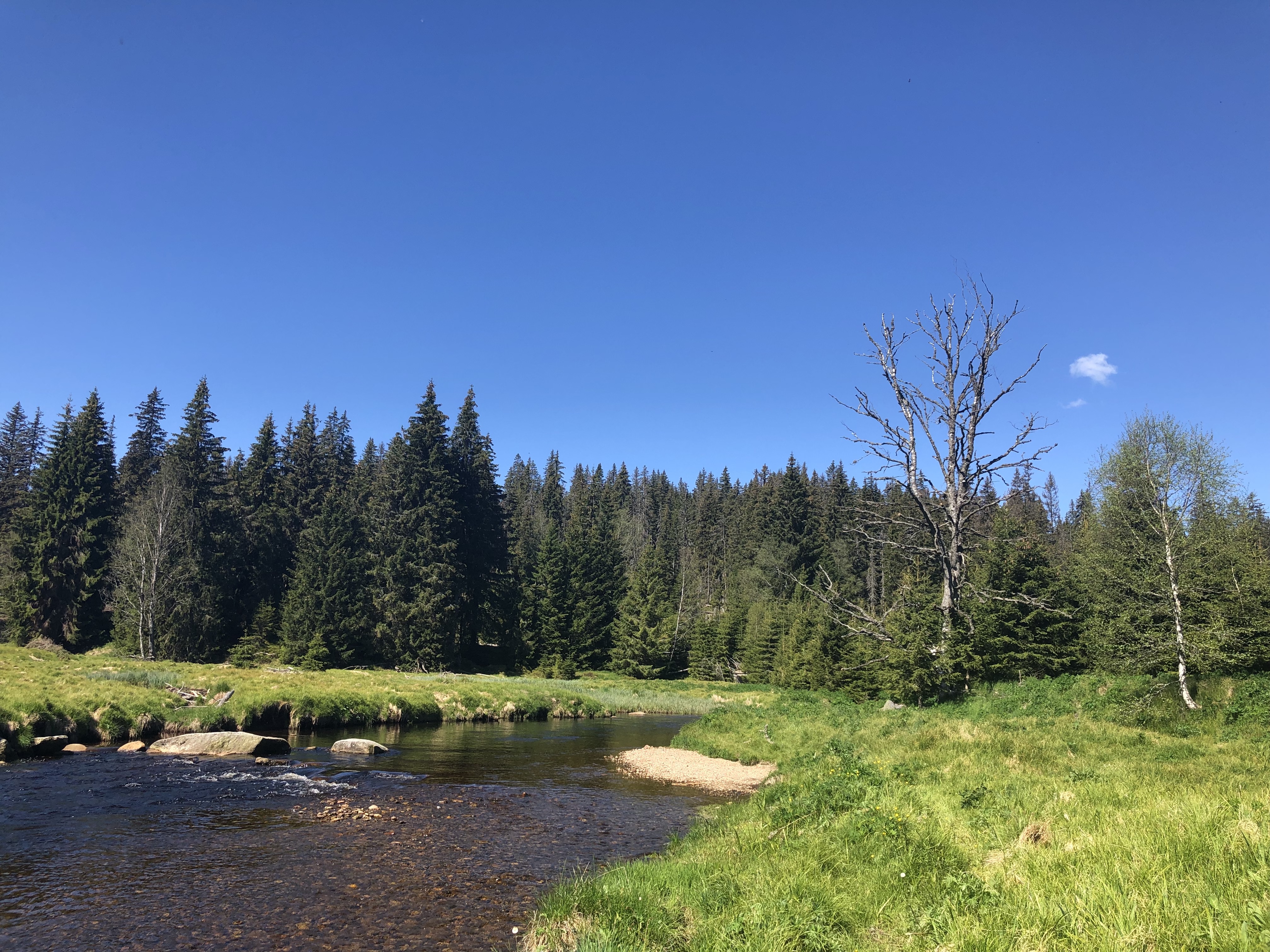 Krásy Šumavy II. – Modrava, Tříjezerní slať