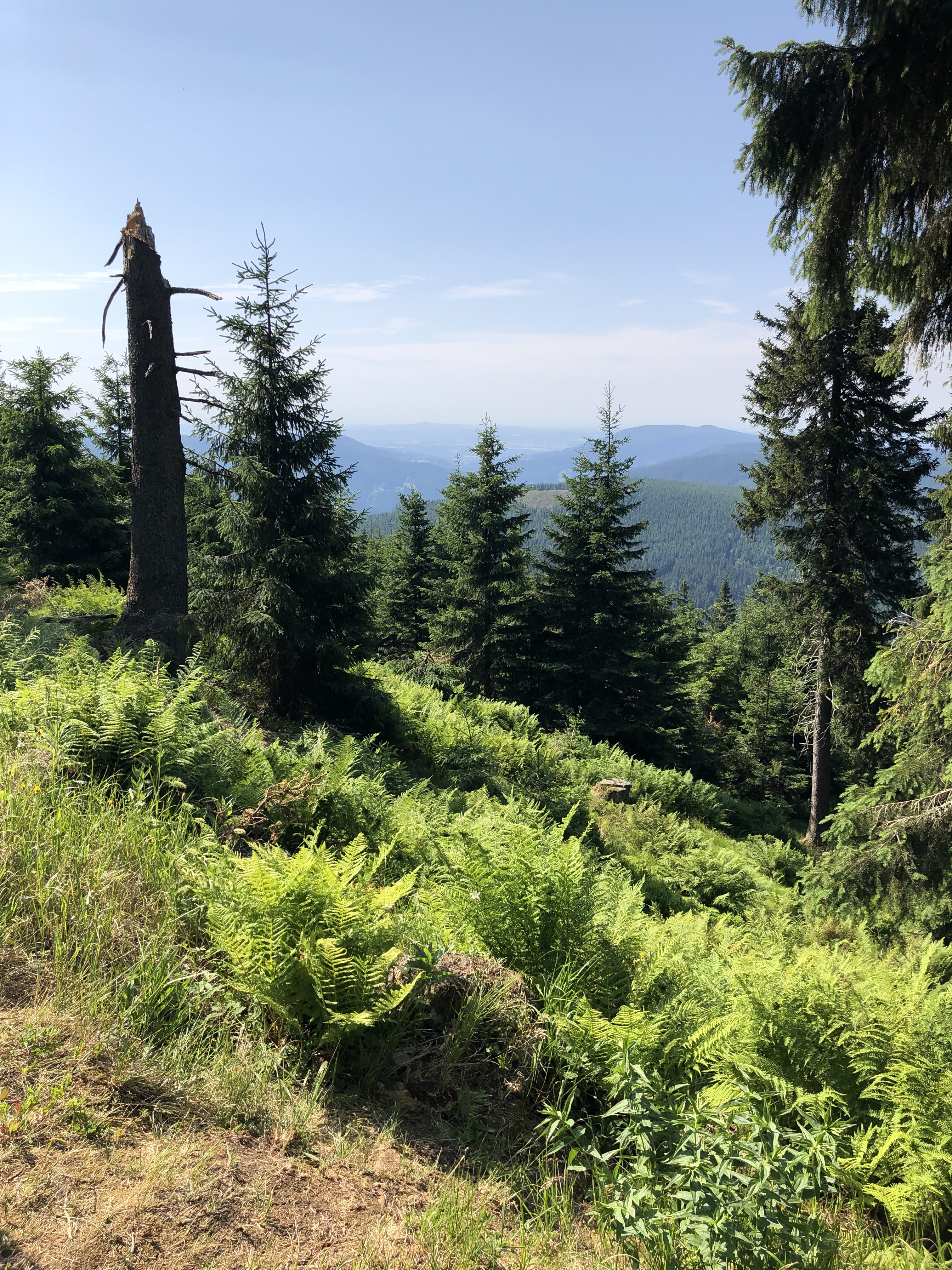 Krkonoše I. – Labská Bouda a pramen Labe