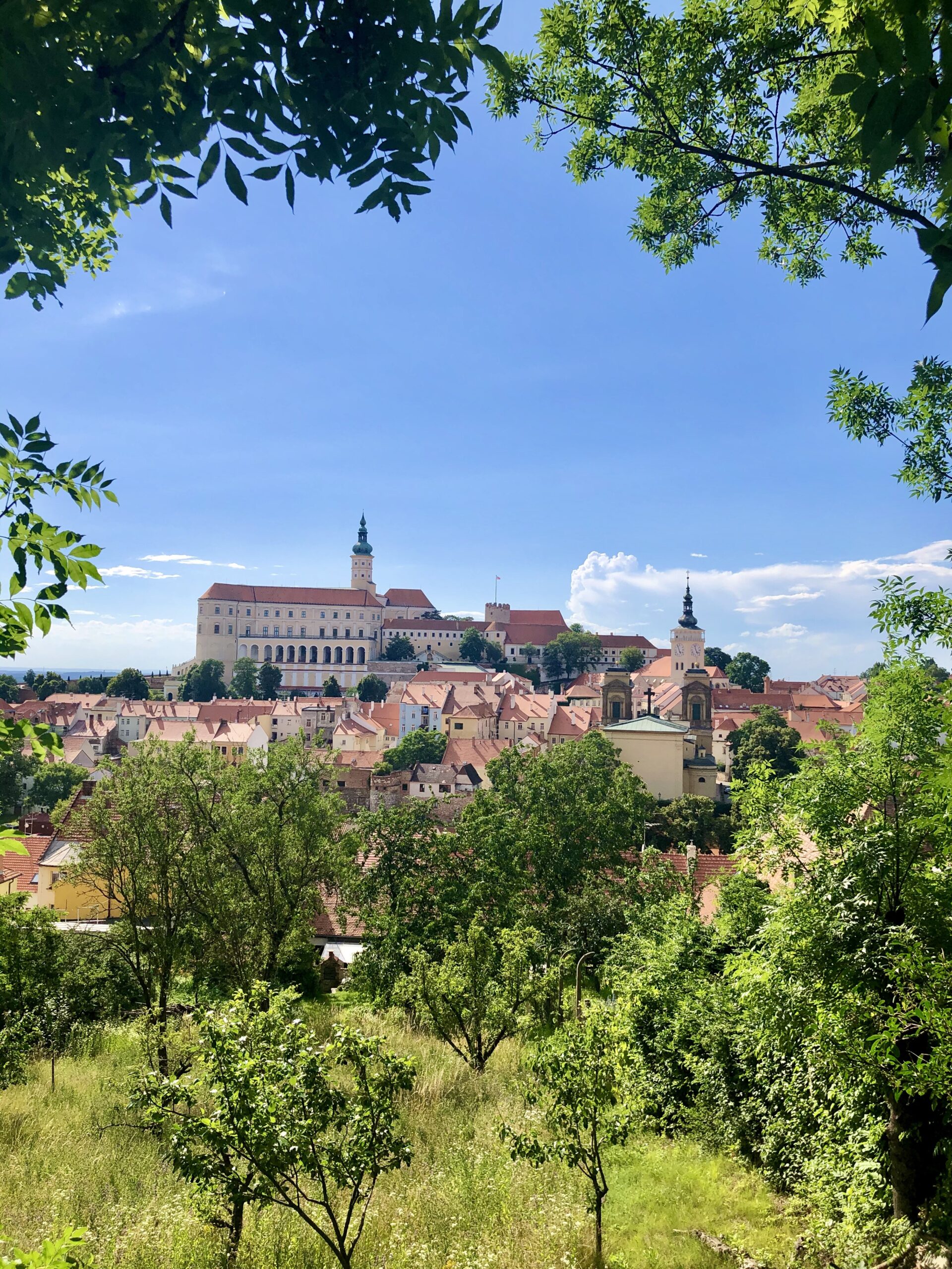 Jižní Morava – návštěva sklípků, Mikulova a Lednicko-Valtického areálu